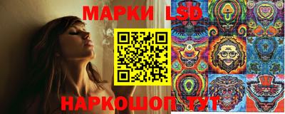 индика Кимры